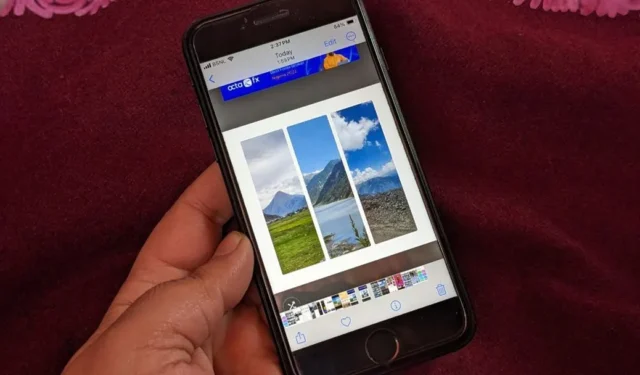 5 beste apps om gratis foto’s op de iPhone te combineren