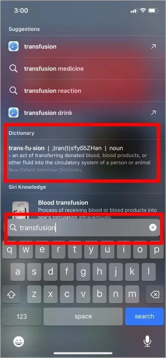 Žodynas su iPhone