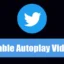 Come disattivare la riproduzione automatica su Twitter (2 metodi)