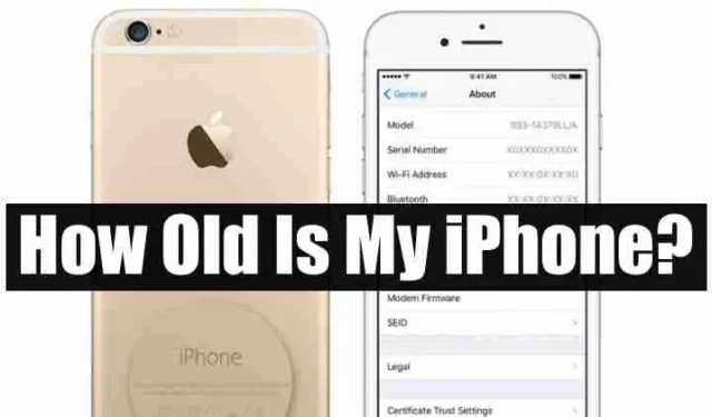 Hoe oud is mijn iPhone? Ontdek uw iPhone-leeftijd