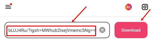 Pegue el enlace del carrete de Instagram en la aplicación