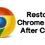 Come ripristinare le schede di Chrome dopo un arresto anomalo (7 metodi migliori)