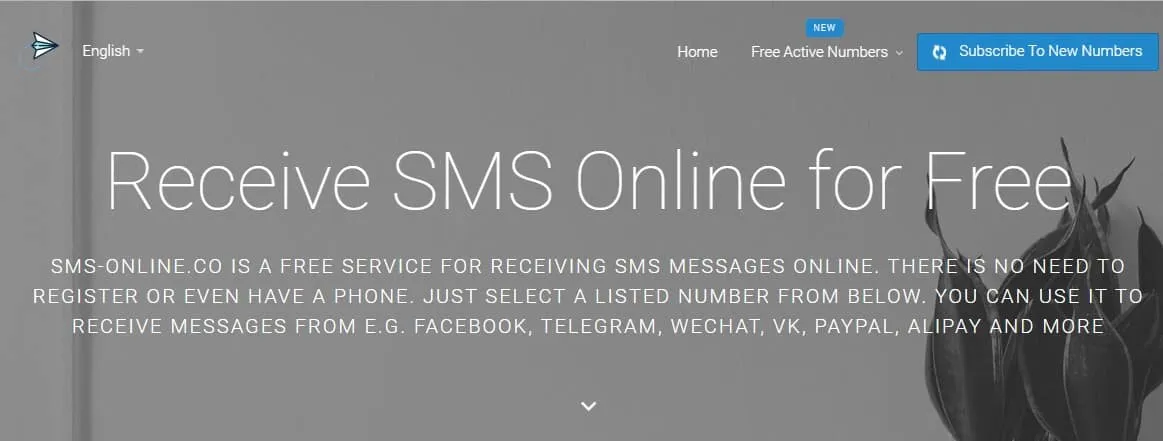 SMS EN LIGNE CO