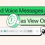 Cómo enviar mensajes de voz que desaparecen en WhatsApp