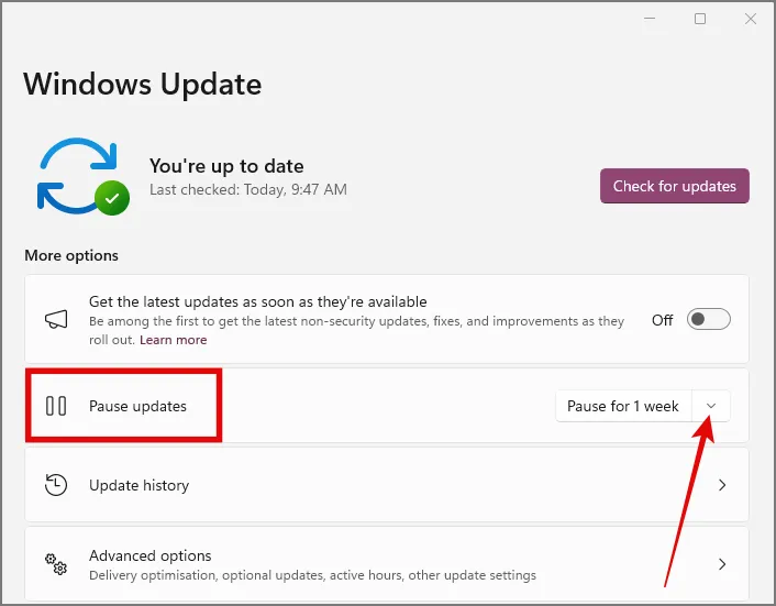 Anhalten von Updates in den Windows-Update-Einstellungen