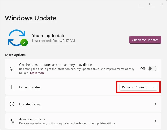 Anhalten von Updates in den Windows-Update-Einstellungen