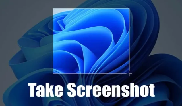 Screenshots maken op Windows 11 (7 beste methoden)