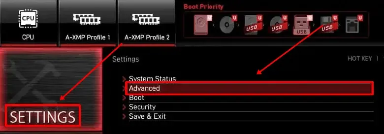 Haga clic en Configuración y luego en Avanzado