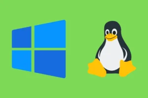 Cómo instalar el subsistema de Windows para Linux (WSL) en Windows 11