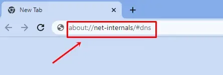 zadejte do vyhledávacího pole o net-internals dns