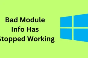 FIX – Le informazioni errate sul modulo hanno smesso di funzionare su Windows 11