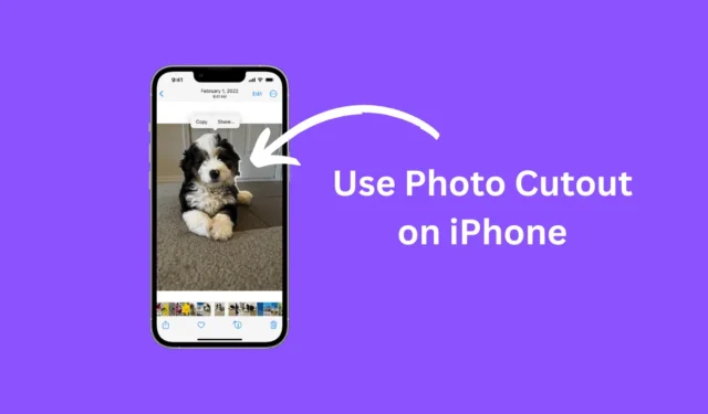 Como usar o recorte de fotos no iPhone