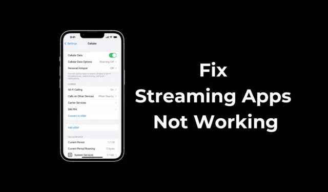 Come risolvere il problema delle app di streaming che non funzionano sui dati cellulari su iPhone