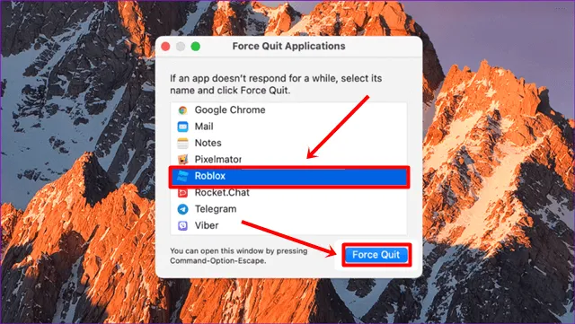 Okno Force Quit Applications - roblox