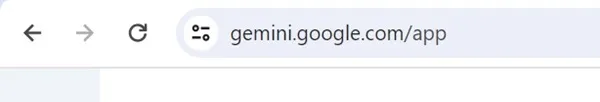 Gemini.google.com