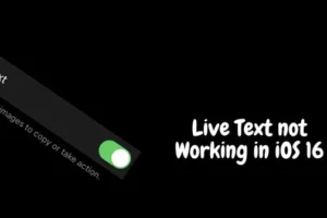 So beheben Sie, dass Live-Text auf dem iPhone (iOS 16) nicht funktioniert