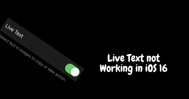 So beheben Sie, dass Live-Text auf dem iPhone (iOS 16) nicht funktioniert