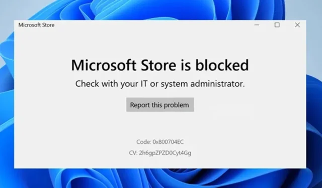 Microsoft Store er blokeret? 10 bedste metoder til at løse det