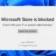 ¿La tienda Microsoft está bloqueada? 10 mejores métodos para solucionarlo