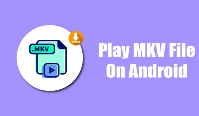 2024년 Android에서 MKV 파일을 재생하는 방법