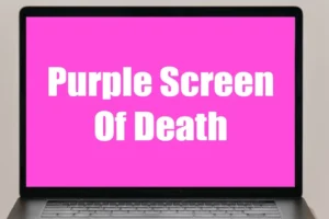 So beheben Sie Purple Screen of Death unter Windows 10/11 (9 Methoden)