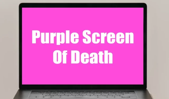 Jak opravit Purple Screen of Death ve Windows 10/11 (9 metod)