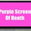 Sådan repareres Purple Screen of Death på Windows 10/11 (9 metoder)