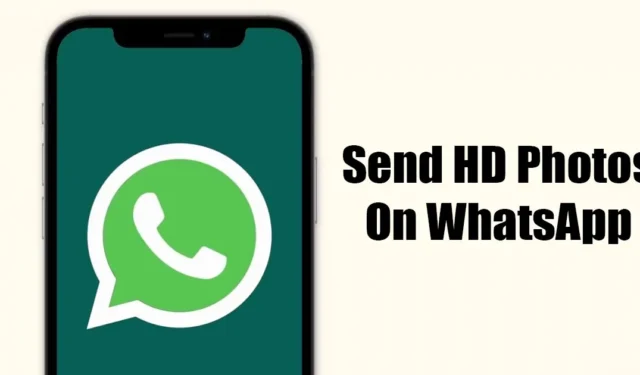 Hvordan sende HD-bilder på WhatsApp for iPhone