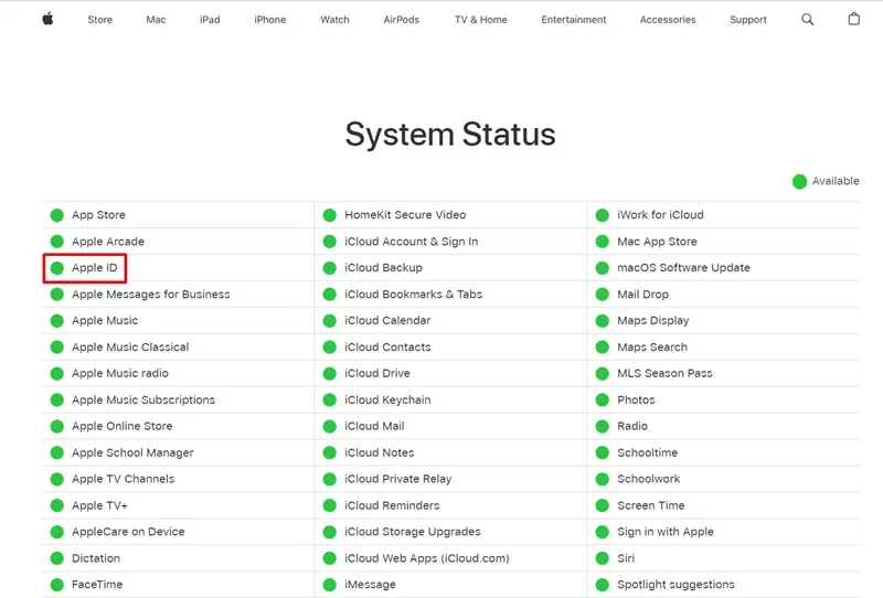 Patikrinkite „Apple“ serverio būseną