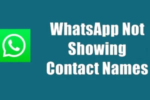 Diez formas de arreglar que WhatsApp no ​​muestre los nombres de los contactos