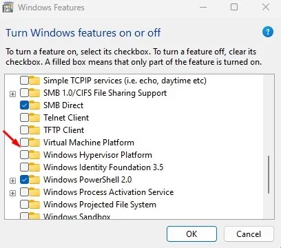 Windows Hypervisor-platform