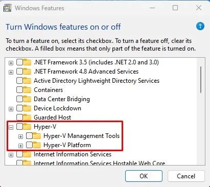 Hyper-V platform