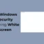 Comment réparer la sécurité Windows affichant un écran blanc