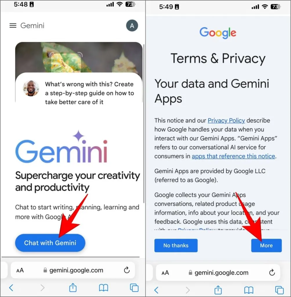 Gemini nettapp på iPhone