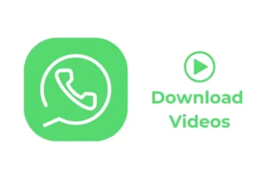 Come scaricare video su WhatsApp per PC