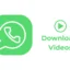 Como baixar vídeos no WhatsApp para PC