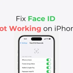 Как исправить Face ID, не работающий на iPhone после обновления iOS