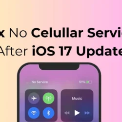 Как исправить отсутствие сотовой связи после обновления iOS 17