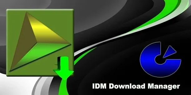 Gestore download IDM