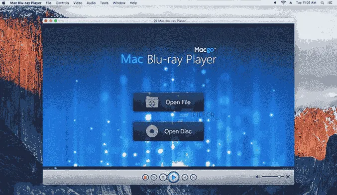 Macgo-Medienplayer