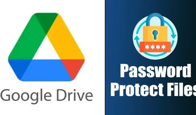 Come proteggere con password i file di Google Drive nel 2024 (4 metodi)