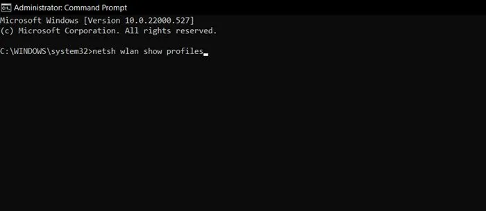 netsh wlan mostra i profili