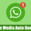 Como desativar o download automático de mídia no WhatsApp para Android