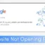 Come risolvere alcuni siti Web che non si aprono nel browser (12 metodi)