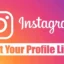 2024 年如何找到您的 Instagram 個人資料 URL