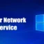 Co je Killer Network Service ve Windows? Oprava „Vysoké využití CPU“