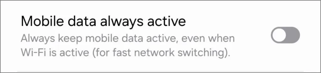 개발자 옵션에서 모바일 데이터가 항상 활성화되어 있습니다.