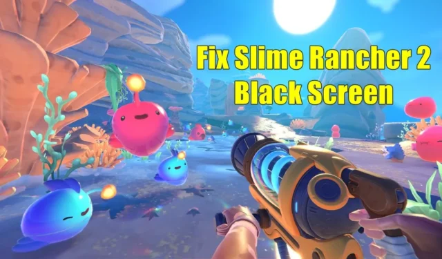 Slime Rancher 2:n mustan näytön korjaaminen käynnistyksen jälkeen