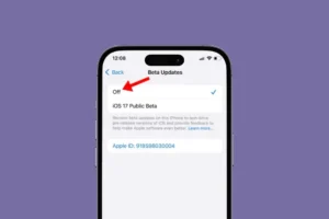 Cómo desactivar las actualizaciones Beta en iPhone