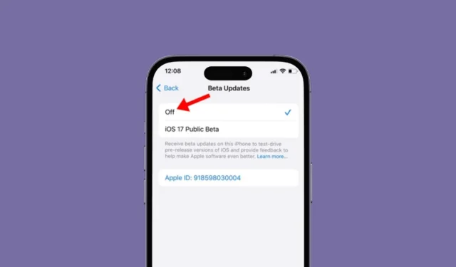 Hoe bèta-updates op de iPhone uit te schakelen